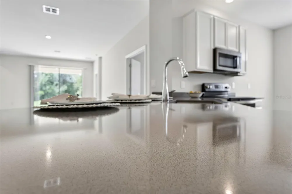 4514 TAHOE CIRCLE Clermont, FL 34714