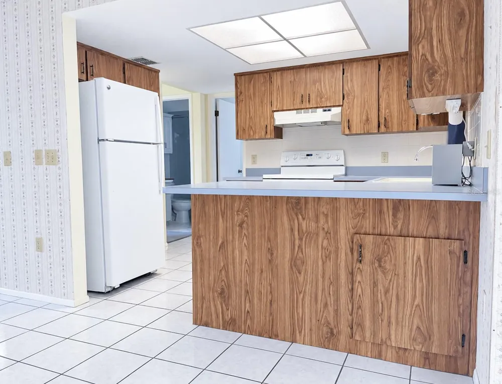 2260 GODFREY AVENUE Spring Hill, FL 34609