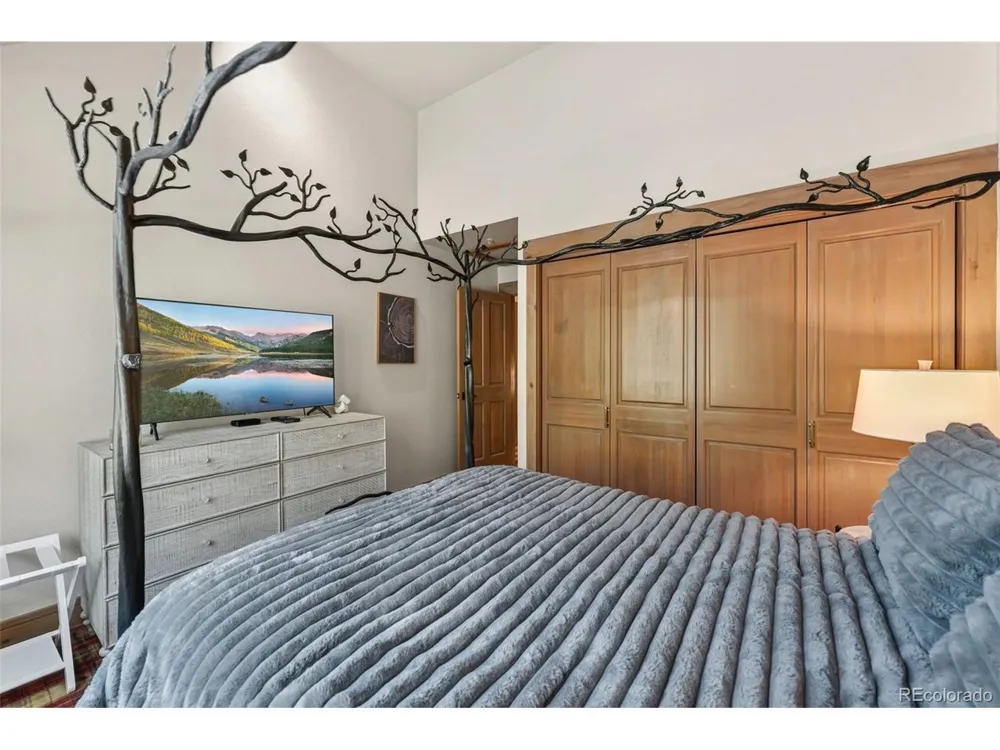 710 Alhambra Road #8744 Keystone, CO 80435
