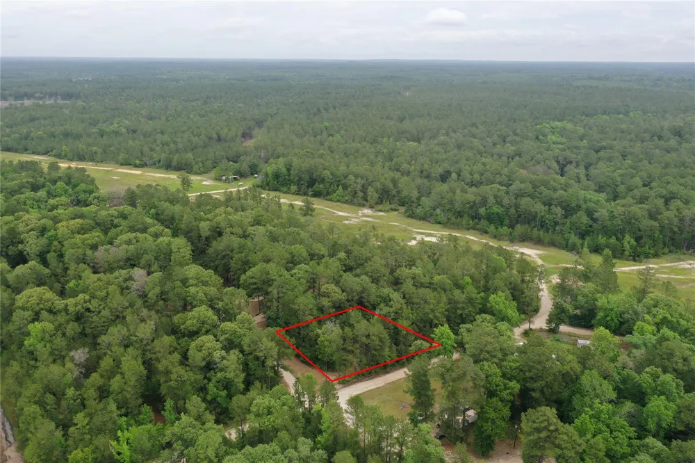 Little Ponderosa Drive Onalaska, TX 77360