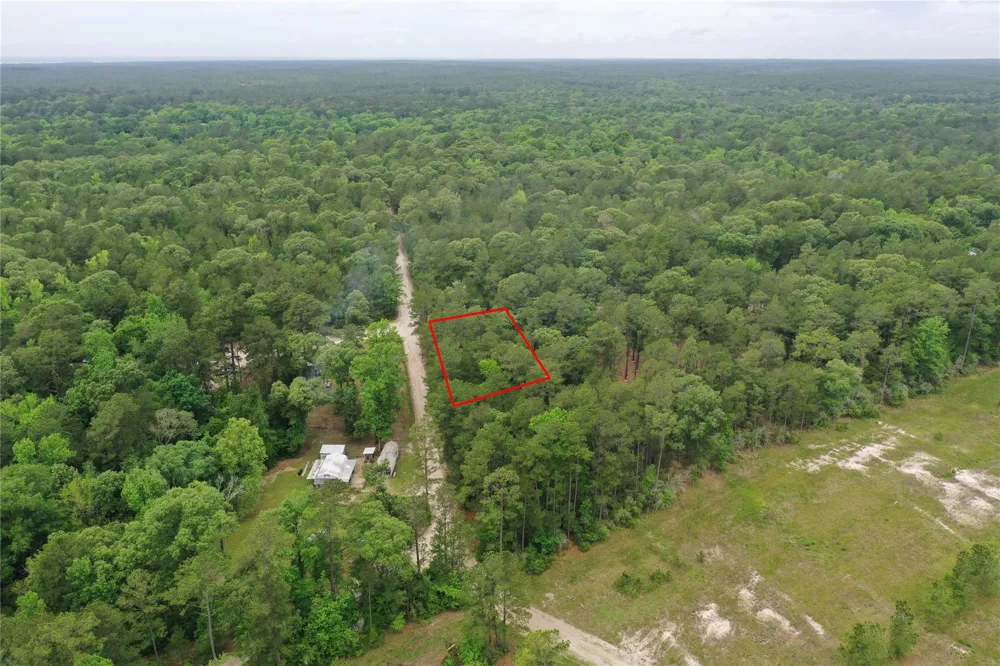 Little Ponderosa Drive Onalaska, TX 77360