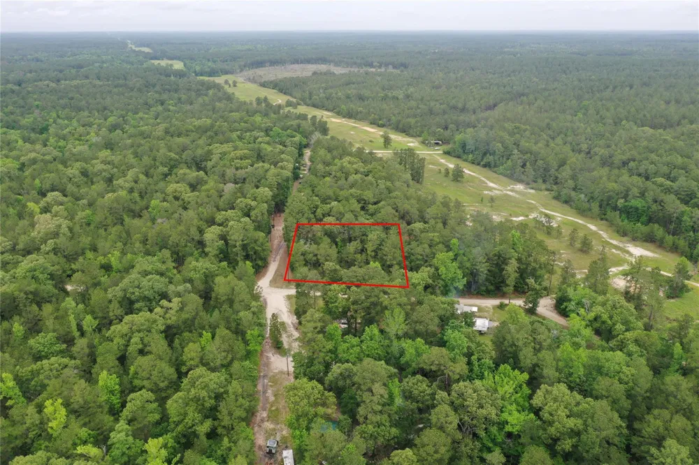 Little Ponderosa Drive Onalaska, TX 77360
