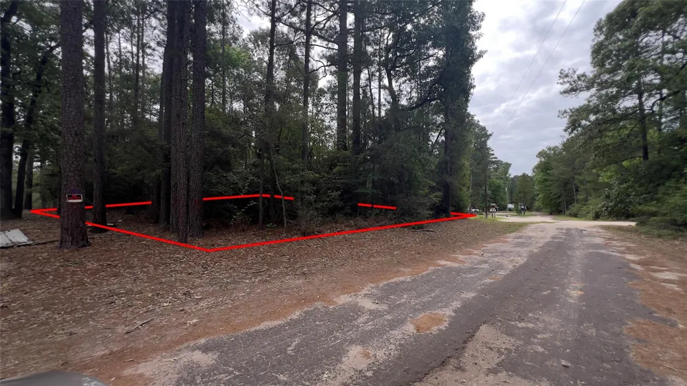 Little Ponderosa Drive Onalaska, TX 77360