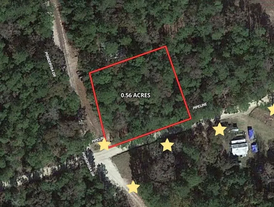 Little Ponderosa Drive Onalaska, TX 77360