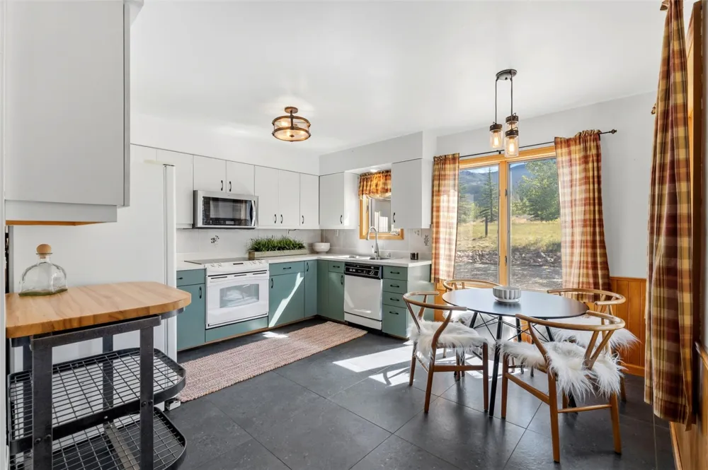 449 Rodeo Drive Silverthorne, CO 80498