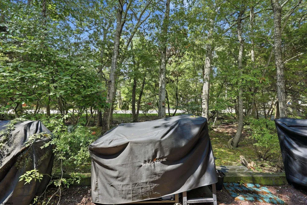 2 Steamboat Ct Galloway Township, NJ 08205