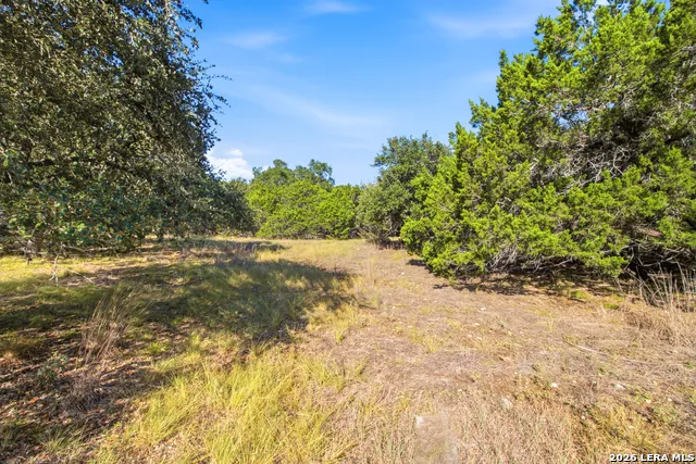 147 Green Valley Court Pipe Creek, TX 78063