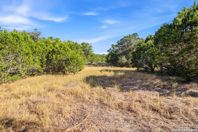 147 Green Valley Court Pipe Creek, TX 78063