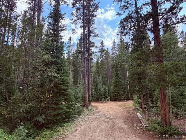 733 Rainbow Road Idaho Springs, CO 80452