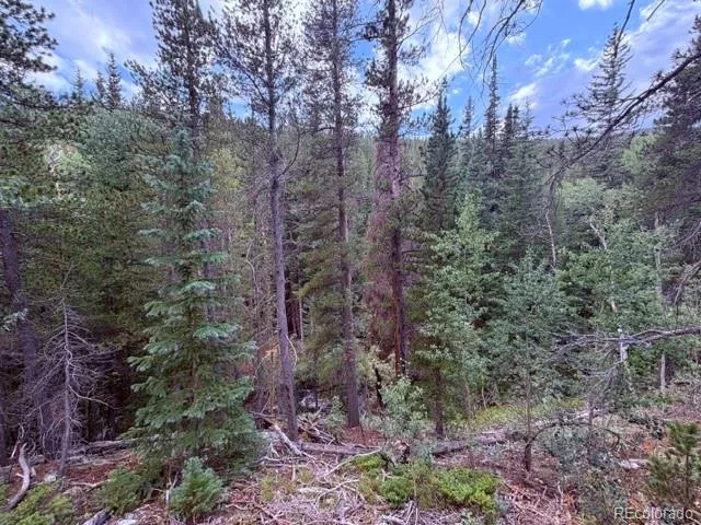 733 Rainbow Road Idaho Springs, CO 80452