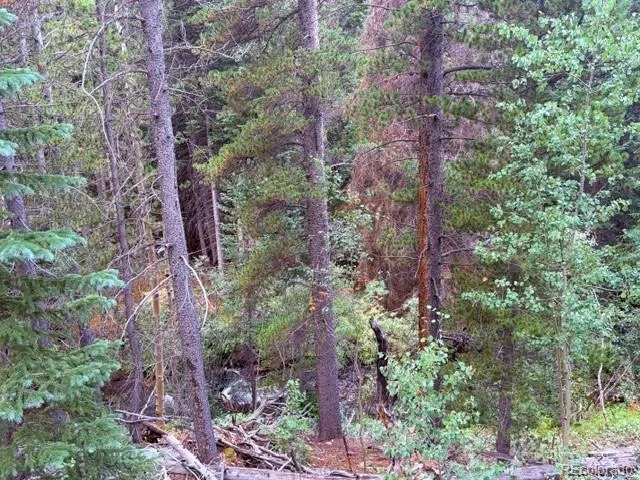 733 Rainbow Road Idaho Springs, CO 80452