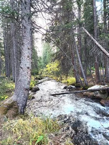 733 Rainbow Road Idaho Springs, CO 80452