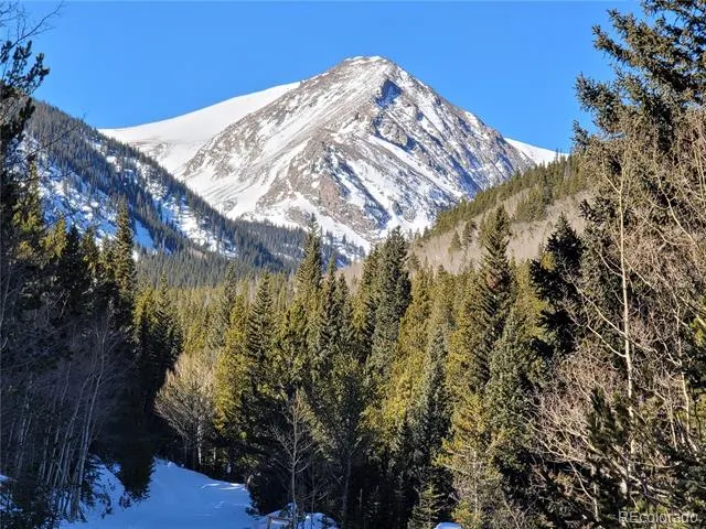 733 Rainbow Road Idaho Springs, CO 80452