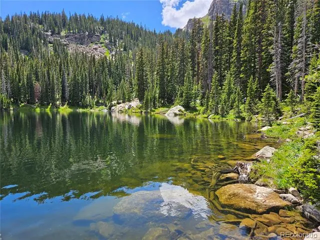 733 Rainbow Road Idaho Springs, CO 80452