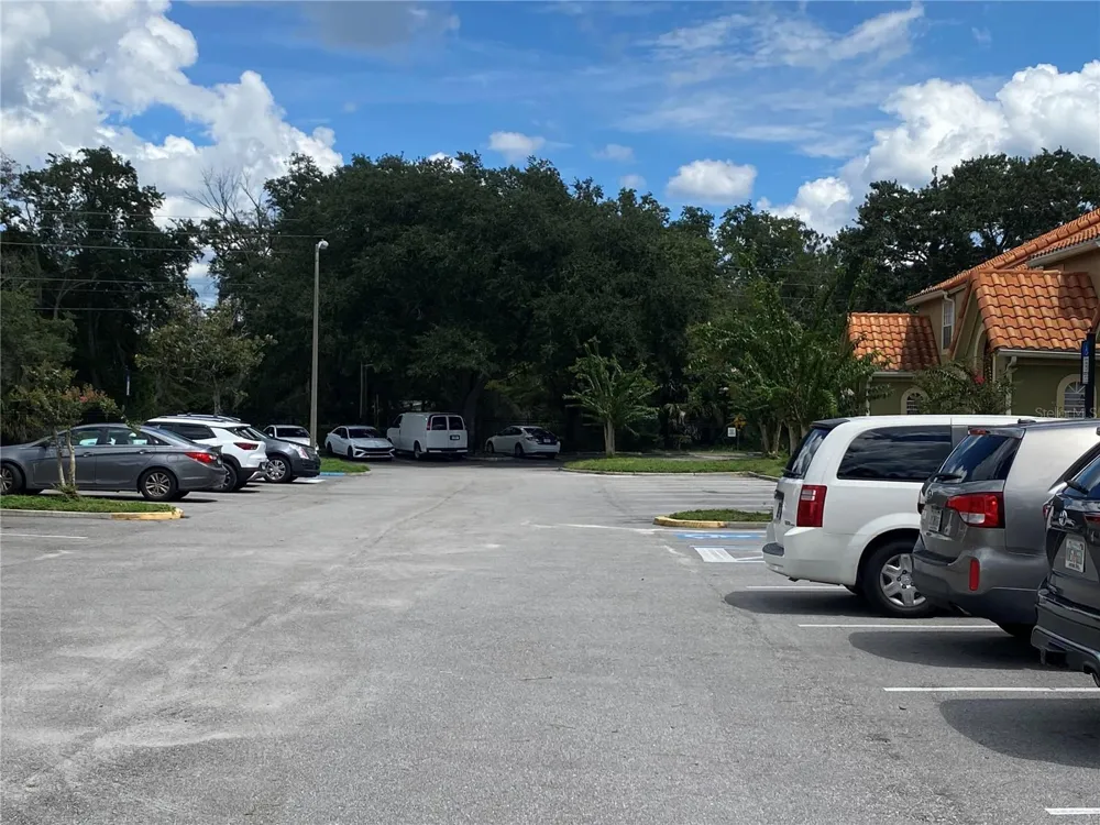 433 FOUNTAINHEAD CIRCLE #287 Kissimmee, FL 34741