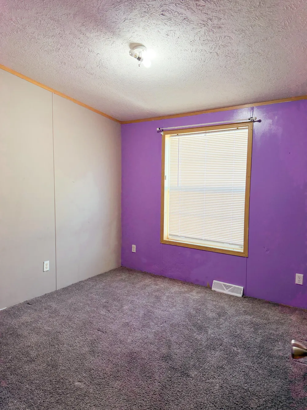 2040 Reo Avenue Lincoln Park City, MI 48146