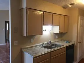 11602 Grapewood Drive Houston, TX 77089