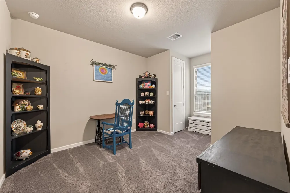 30046 Cherry Sage Lane Fulshear, TX 77423