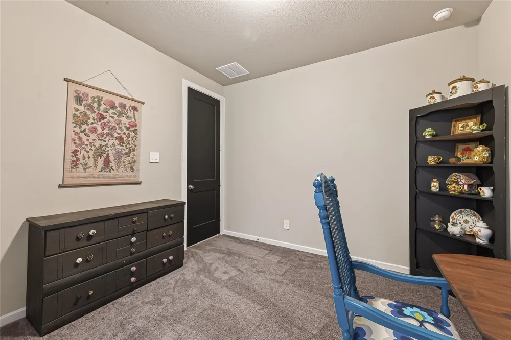 30046 Cherry Sage Lane Fulshear, TX 77423