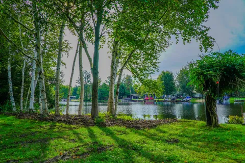 203 Atwood Drive
