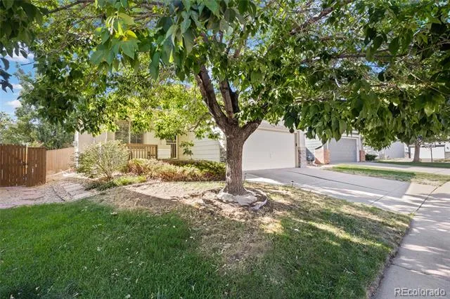 9568 Wangaratta Court Highlands Ranch, CO 80130