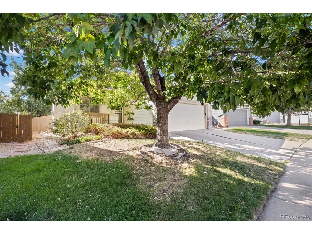 9568 Wangaratta Court Highlands Ranch, CO 80130