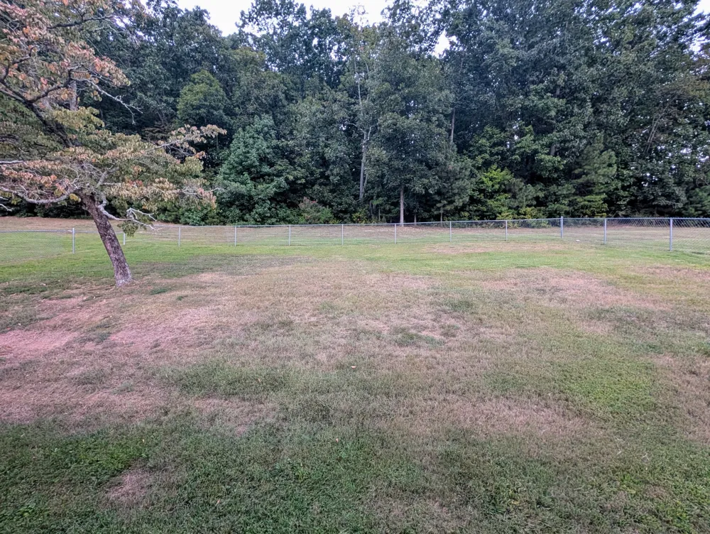 4392 Blue Springs Rd Cleveland, TN 37311