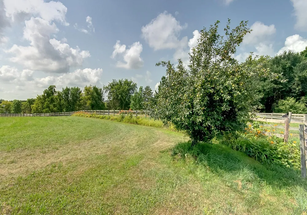 2989 140th Street E Dundas, MN 55019