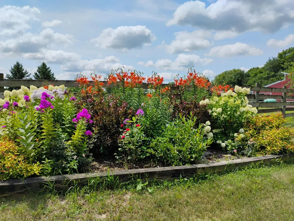2989 140th Street E Dundas, MN 55019