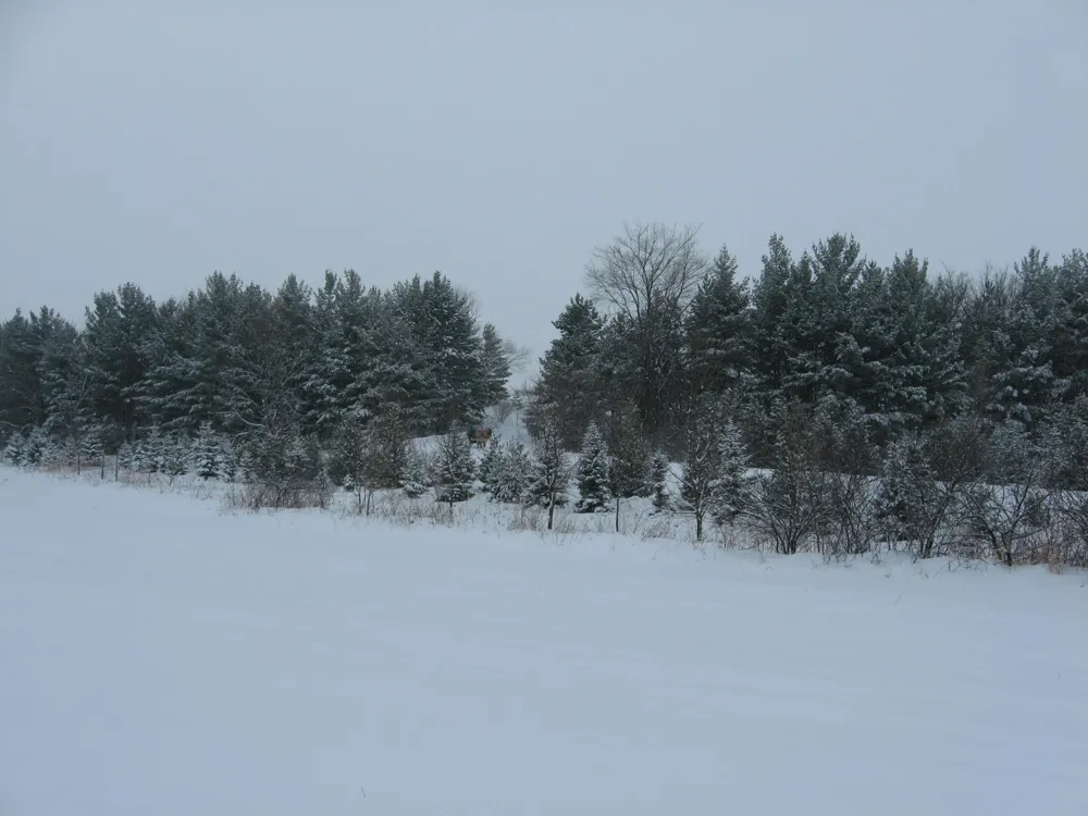 2989 140th Street E Dundas, MN 55019