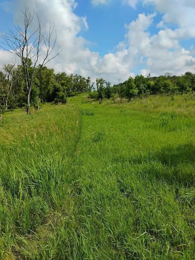 2989 140th Street E Dundas, MN 55019