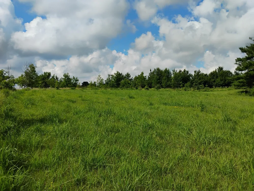 2989 140th Street E Dundas, MN 55019