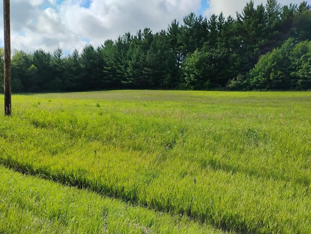 2989 140th Street E Dundas, MN 55019