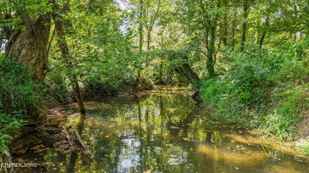 850 Mynatt Drive Blaine, TN 37709
