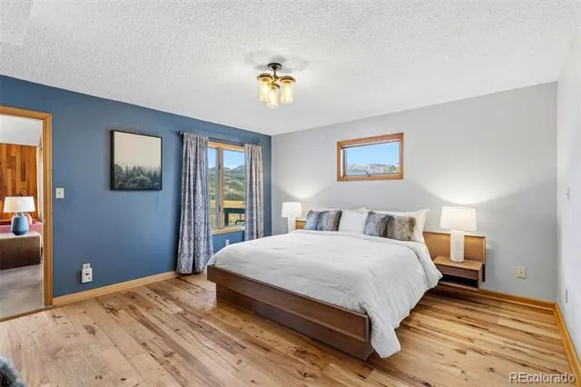 449 Rodeo Drive Silverthorne, CO 80498