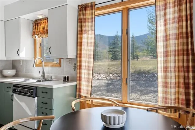 449 Rodeo Drive Silverthorne, CO 80498