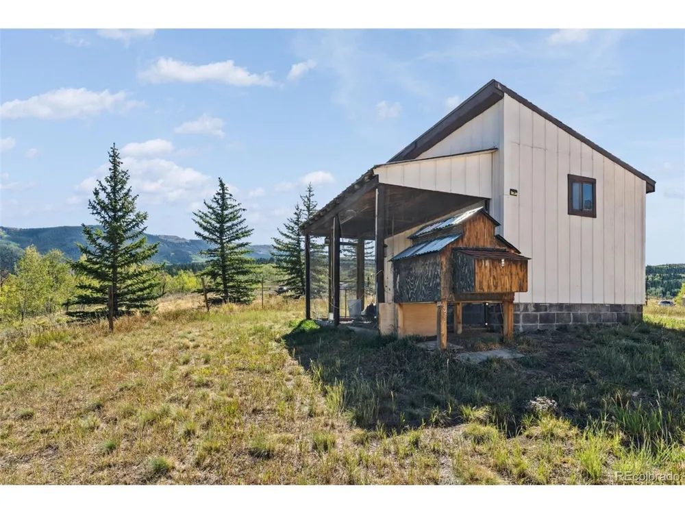 449 Rodeo Drive Silverthorne, CO 80498