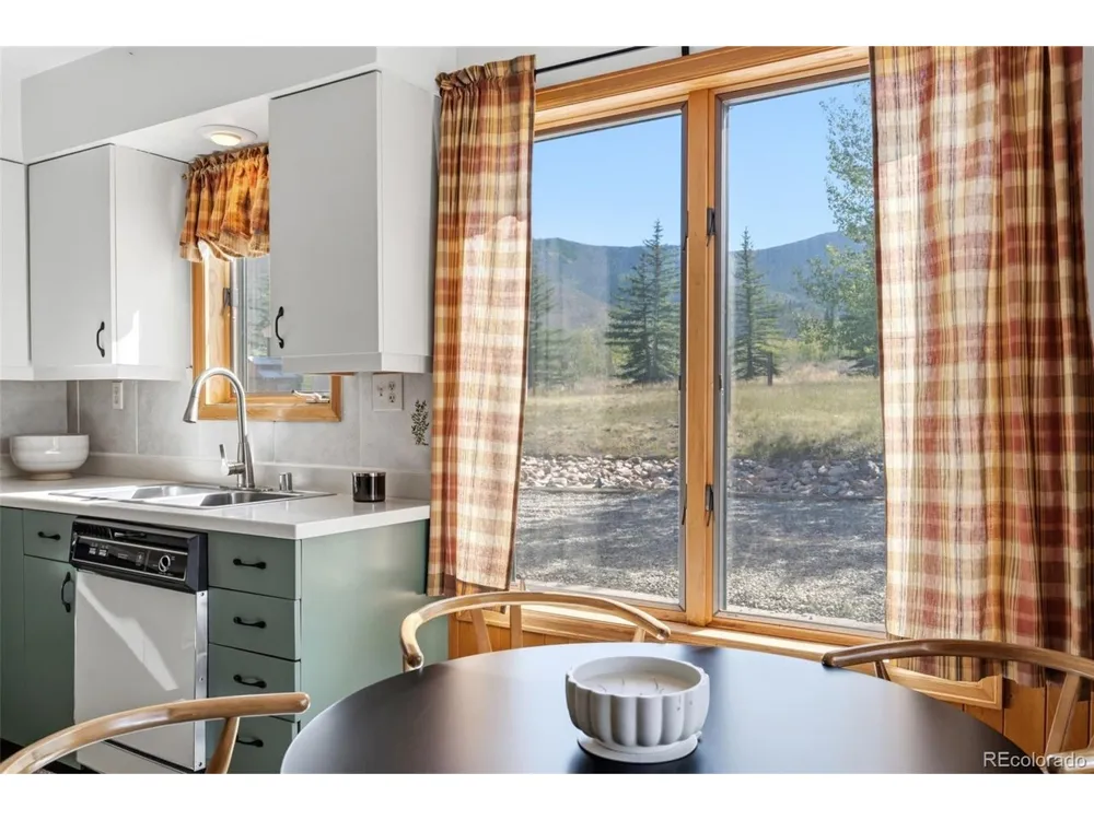 449 Rodeo Drive Silverthorne, CO 80498