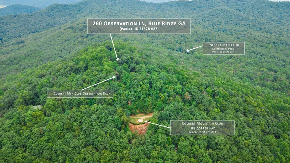 260 Observation Lane Blue Ridge, GA 30513
