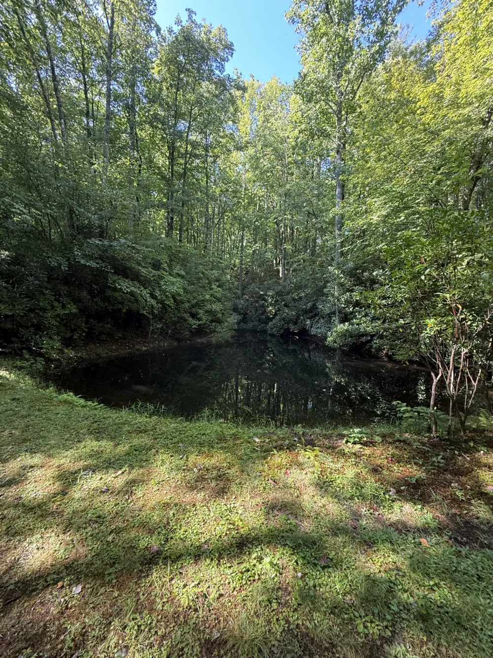 6 Old Ford Road Cashiers, NC 28717