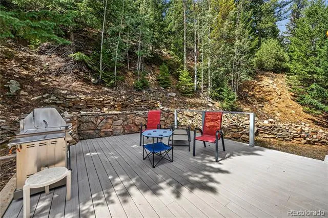 990 Saddleback Drive Evergreen, CO 80439