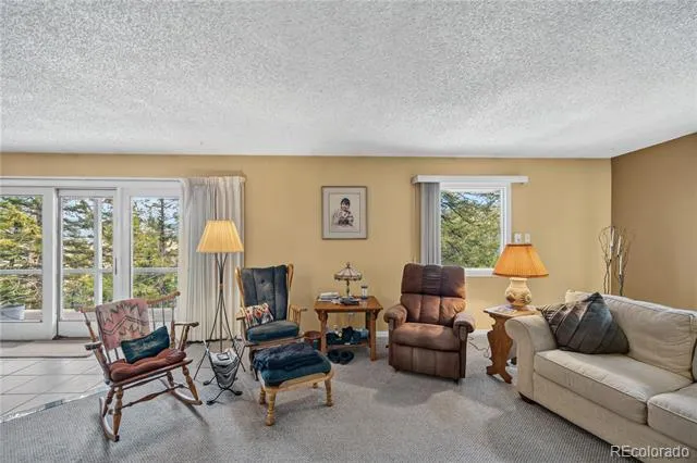 990 Saddleback Drive Evergreen, CO 80439