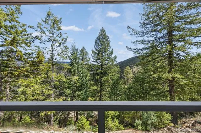 990 Saddleback Drive Evergreen, CO 80439
