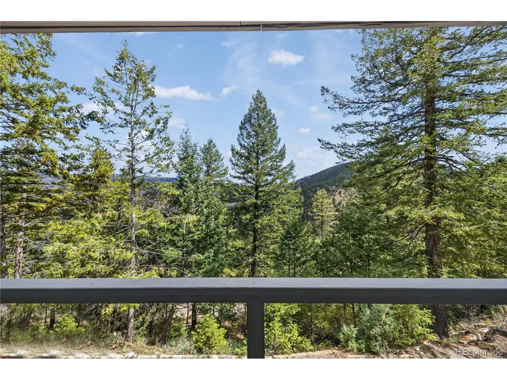 990 Saddleback Drive Evergreen, CO 80439