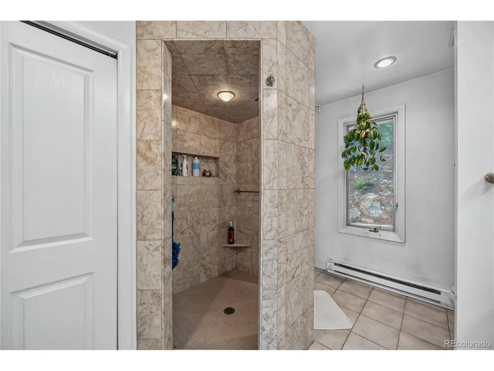 990 Saddleback Drive Evergreen, CO 80439