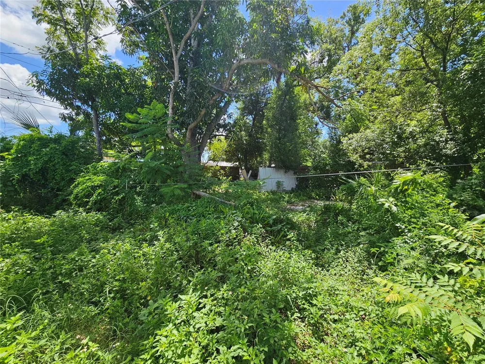 3537 39TH STREET St Petersburg, FL 33713