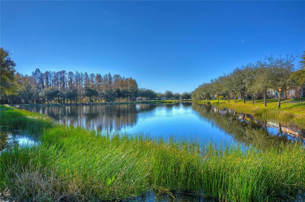 17436 STINCHAR DRIVE Land O Lakes, FL 34638