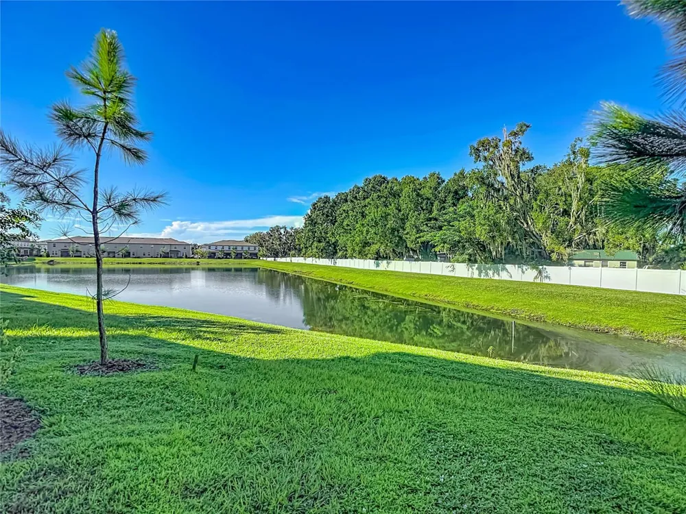 6279 SHINER STREET Land O Lakes, FL 34638