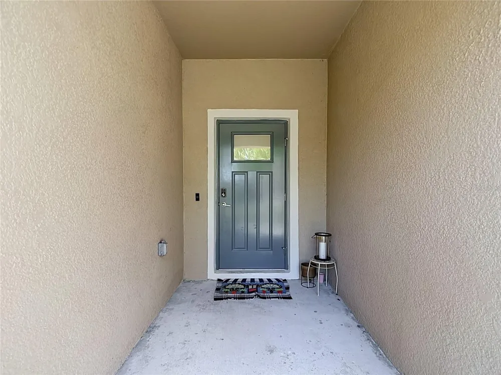 6279 SHINER STREET Land O Lakes, FL 34638