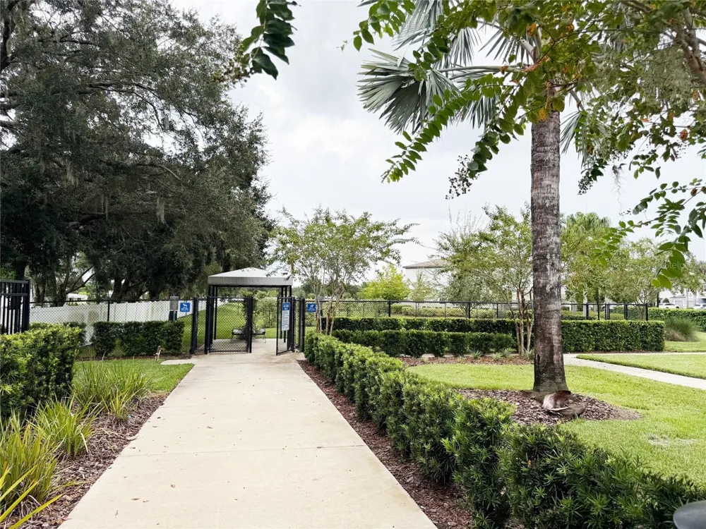 6279 SHINER STREET Land O Lakes, FL 34638